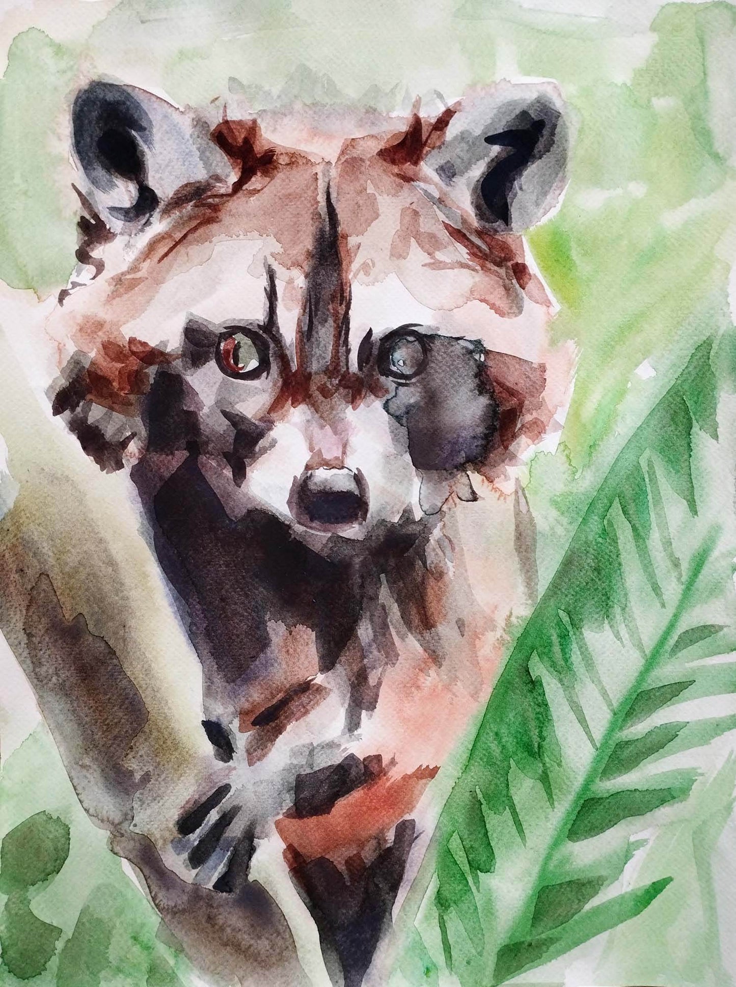 H1Z ART Acrylbild Aquarellbild "Waschbär" (30 × 40 cm)