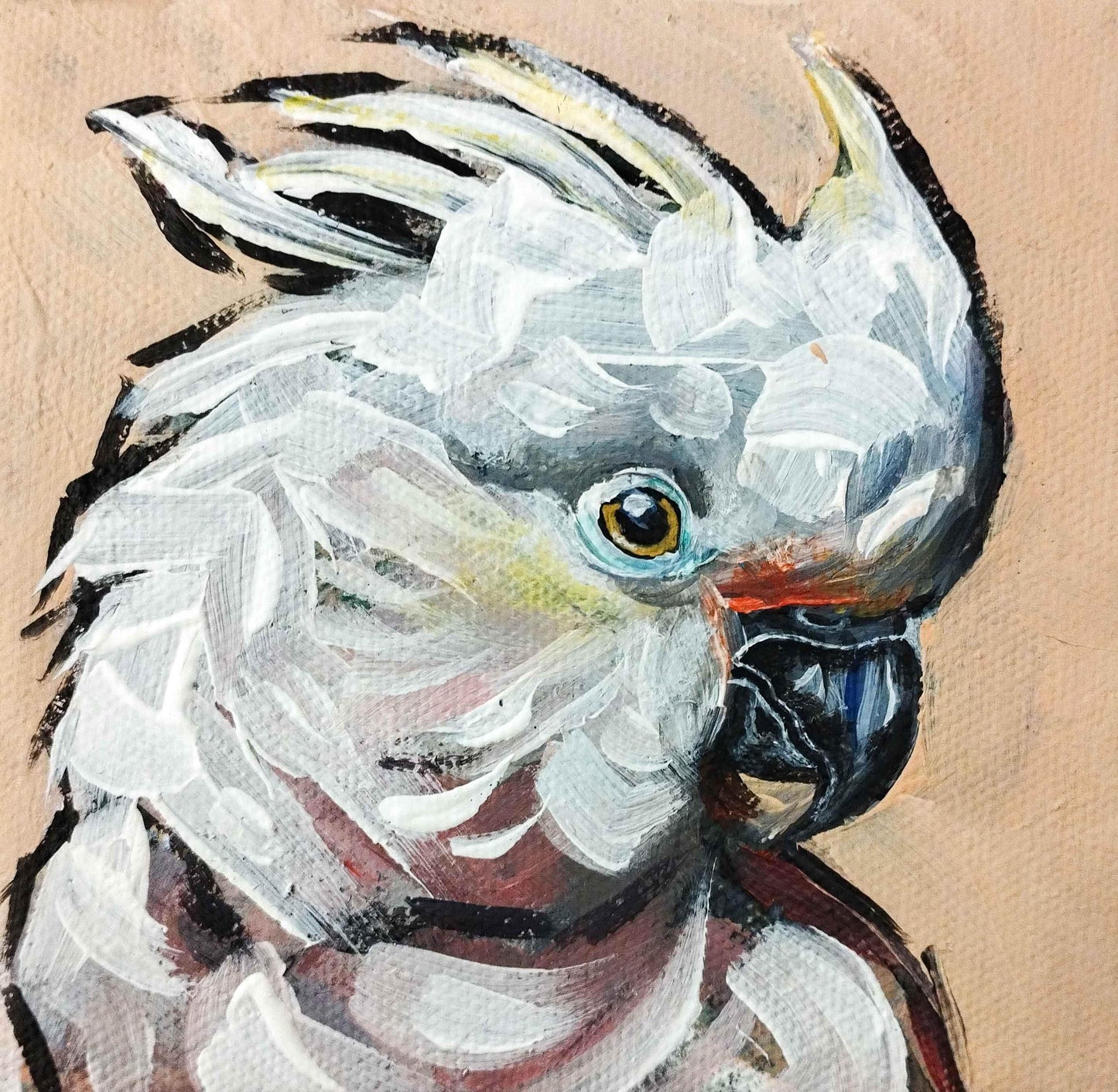 H1Z ART Acrylbild Gemälde Weißhaubenkakdu – handgemaltes Original Acrylbild (10 x 10 cm)