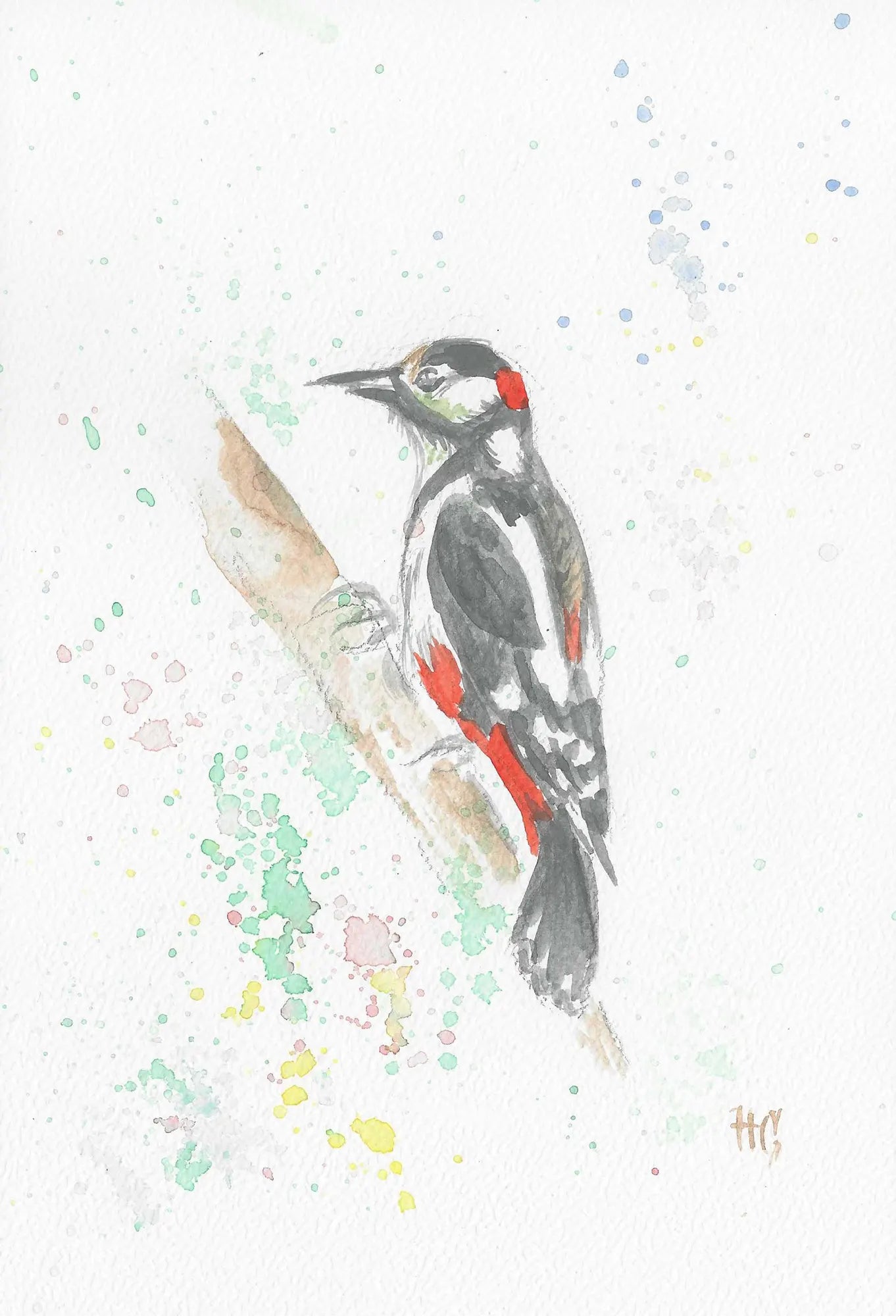 Postkarte „Specht“ – Handgemalt