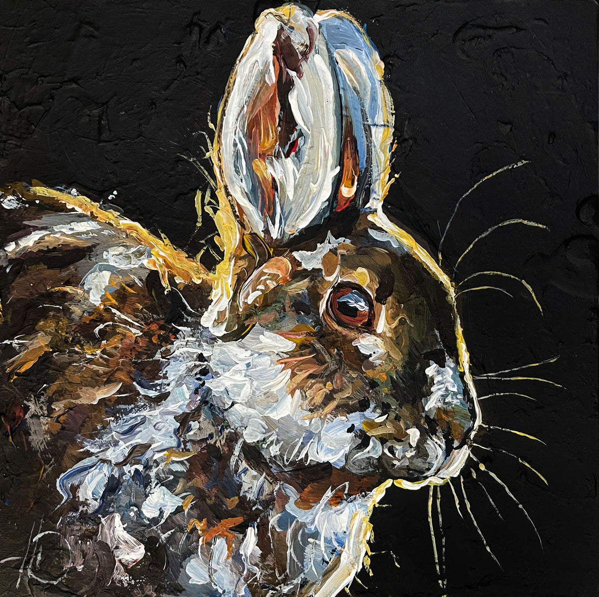 Hase auf Schwarz