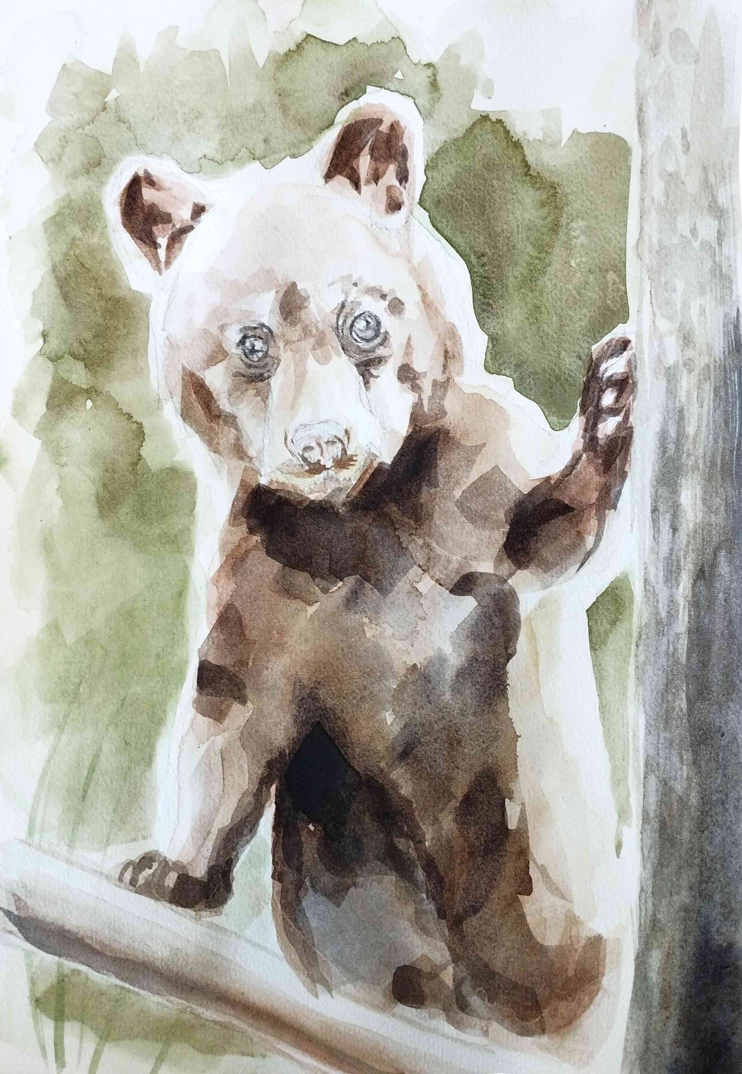 Aquarellbild Bär (30 × 40 cm)