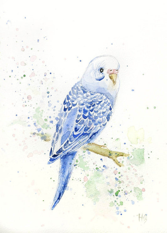 Postkarte „Blauer Wellensittich“ – Handgemalt
