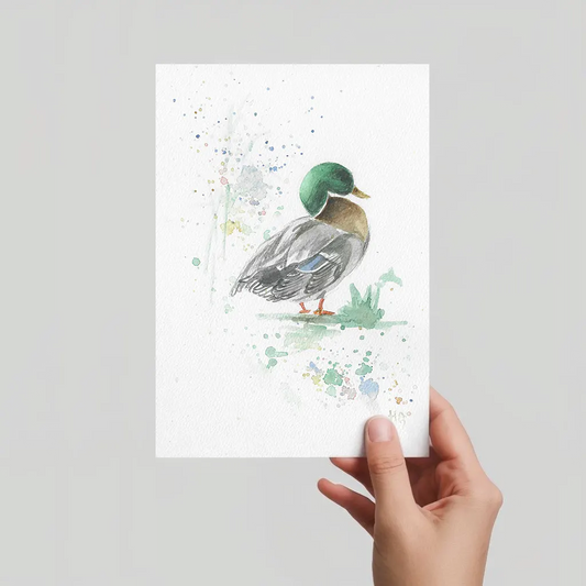 Aquarell Postkarte Stockente Erpel mit grünem Kopf, handgemalt, expressive Malweise.