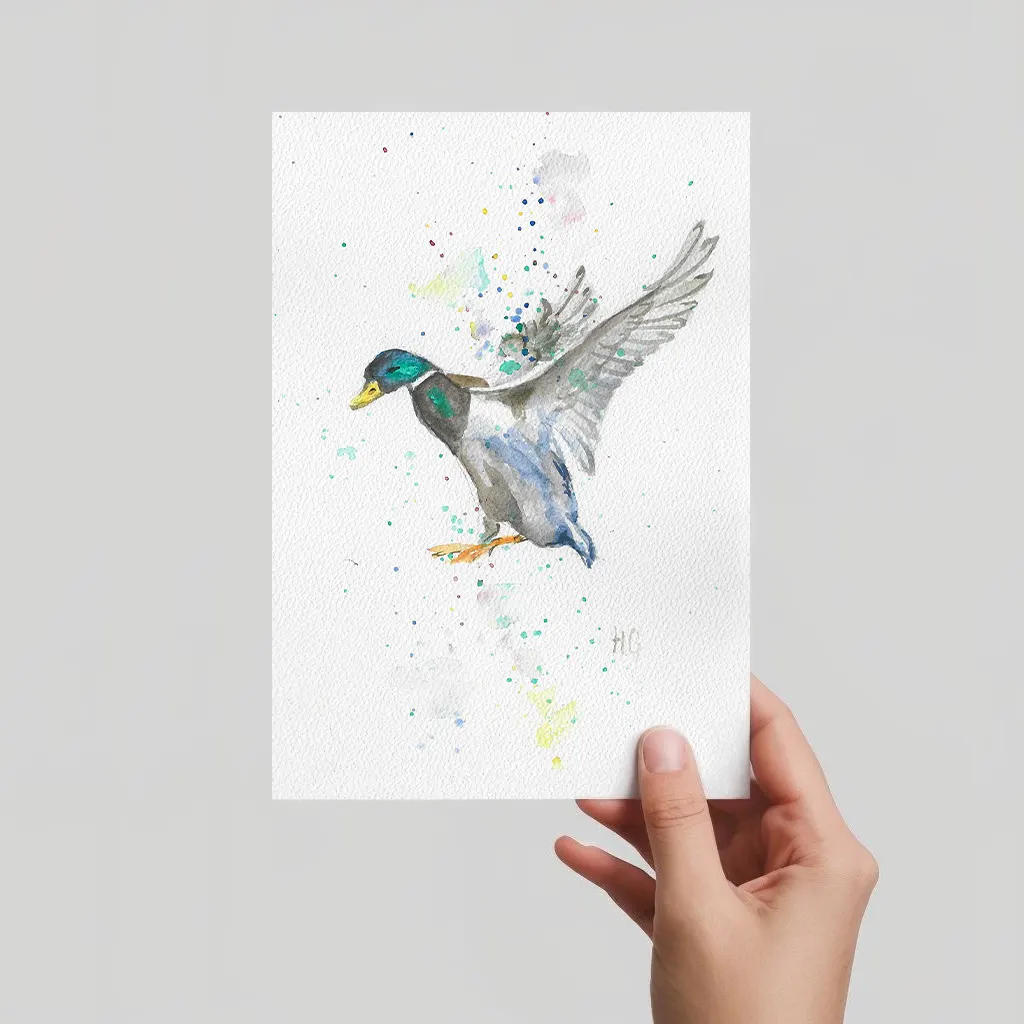 Aquarell Postkarte fliegender Stockente Erpel mit ausgebreiteten Flügeln, handgemalt, expressive Malweise.