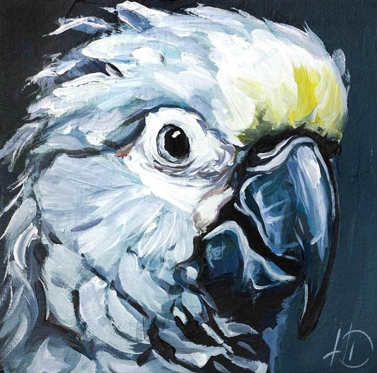 Gemälde Graupapagei – handgemaltes Original Acrylbild (20 x 20 cm)