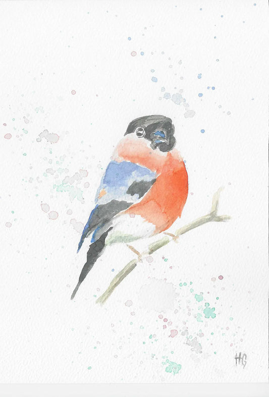 Postkarte „Gimpel“ – Handgemalt
