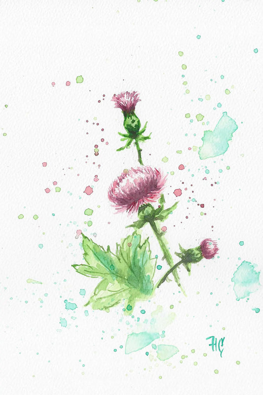 Postkarte – "Disteln" – Handgemalt