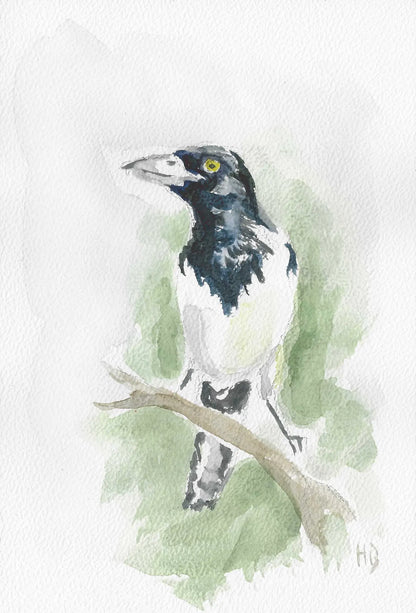 Postkarte „Elster“ – Handgemalt
