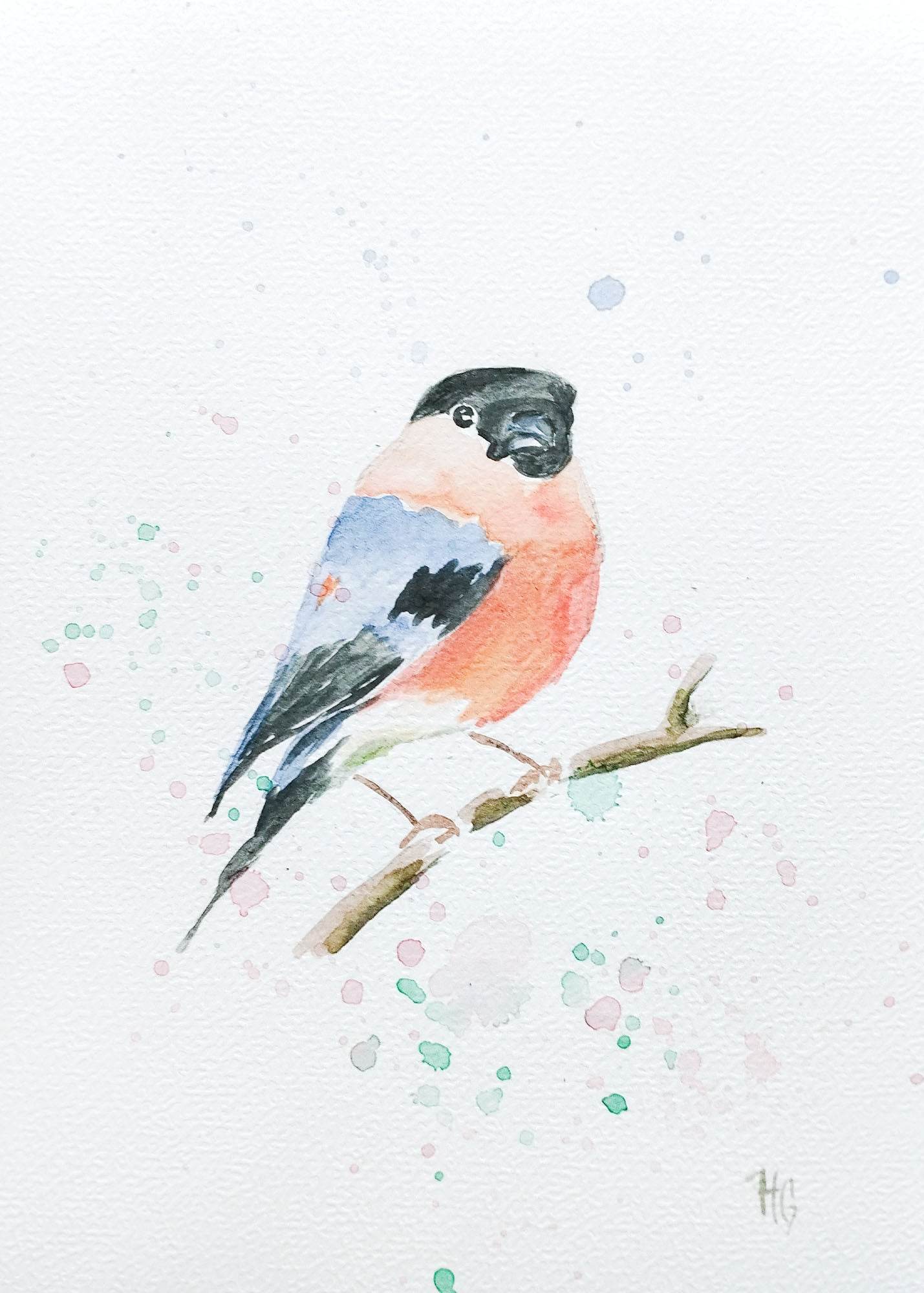 Heinz Grußkarte Postkarte „Gimpel“ – Aquarell-Vogelmotiv auf DIN A5