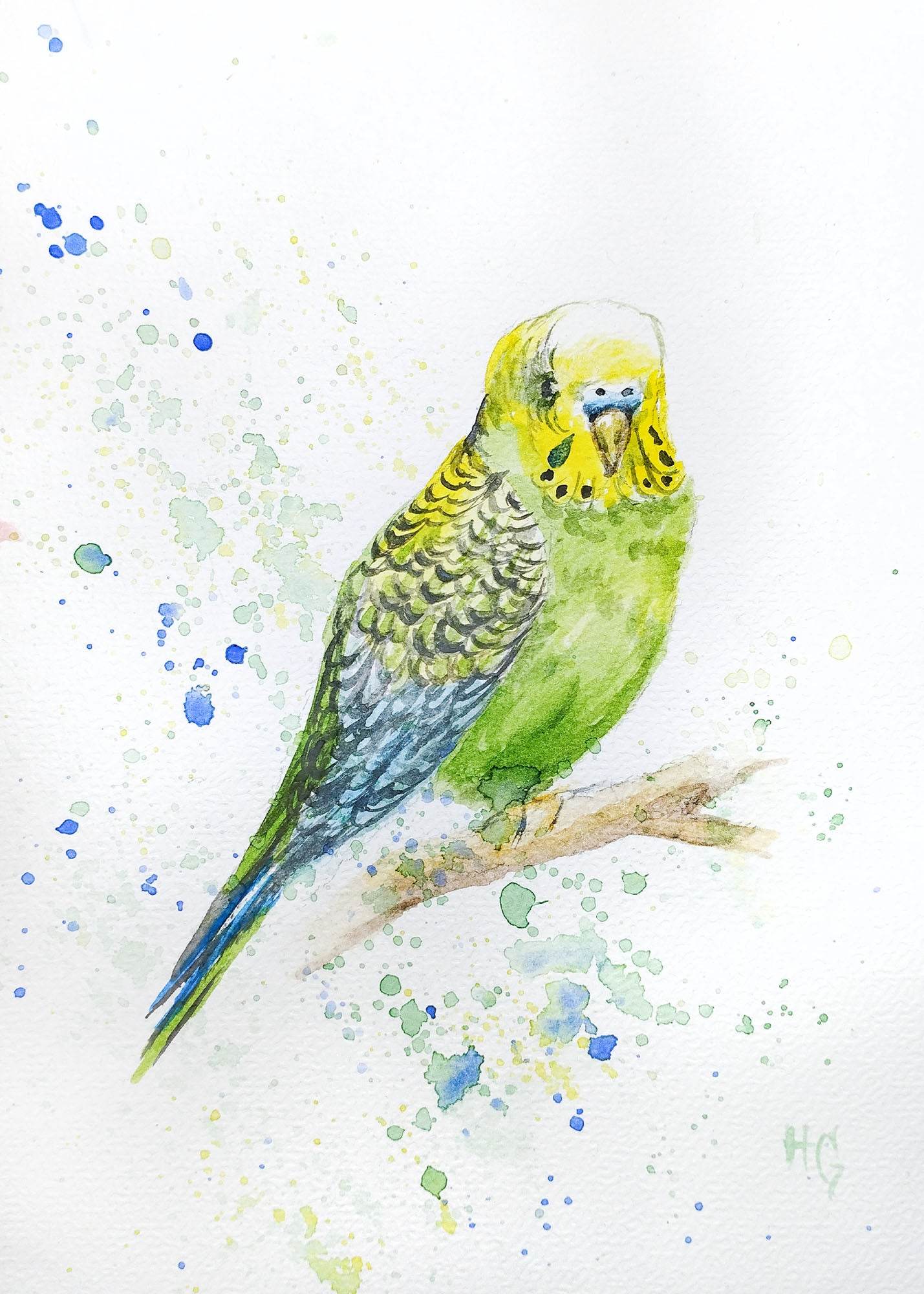 Heinz Grußkarte Postkarte „Grüner Wellensittich“ – Handgemalt auf Aquarellpapier (DIN A5)